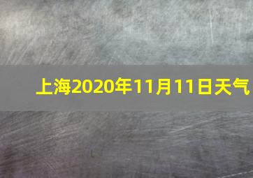 上海2020年11月11日天气