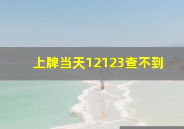 上牌当天12123查不到