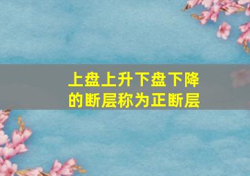 上盘上升下盘下降的断层称为正断层