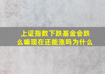 上证指数下跌基金会跌么嘛现在还能涨吗为什么