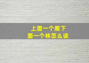 上面一个鹿下面一个林怎么读