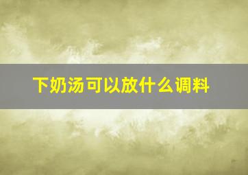 下奶汤可以放什么调料