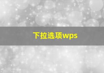 下拉选项wps