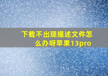 下载不出现描述文件怎么办呀苹果13pro