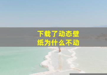 下载了动态壁纸为什么不动