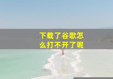 下载了谷歌怎么打不开了呢