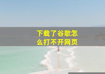 下载了谷歌怎么打不开网页