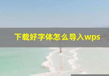 下载好字体怎么导入wps