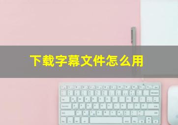 下载字幕文件怎么用