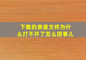 下载的录音文件为什么打不开了怎么回事儿