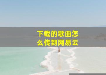 下载的歌曲怎么传到网易云