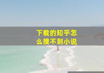 下载的知乎怎么搜不到小说