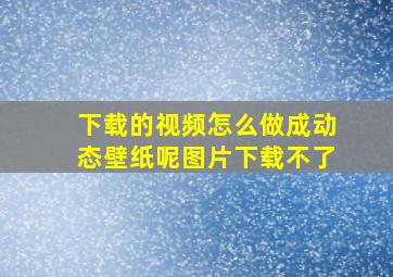 下载的视频怎么做成动态壁纸呢图片下载不了