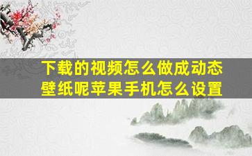 下载的视频怎么做成动态壁纸呢苹果手机怎么设置