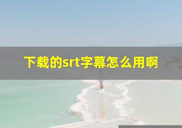 下载的srt字幕怎么用啊