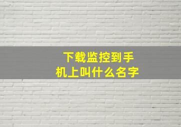 下载监控到手机上叫什么名字