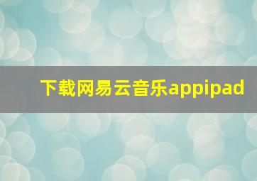 下载网易云音乐appipad