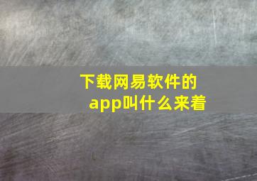 下载网易软件的app叫什么来着