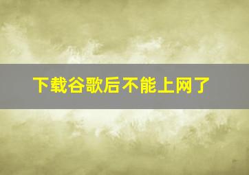 下载谷歌后不能上网了