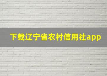 下载辽宁省农村信用社app