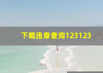 下载违章查询123123