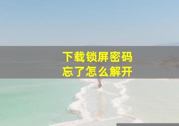 下载锁屏密码忘了怎么解开