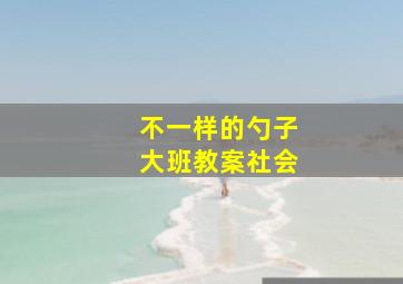 不一样的勺子大班教案社会