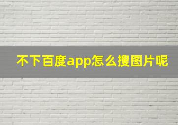 不下百度app怎么搜图片呢