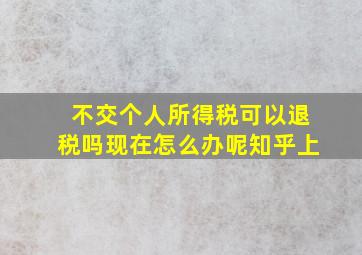 不交个人所得税可以退税吗现在怎么办呢知乎上