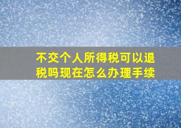 不交个人所得税可以退税吗现在怎么办理手续