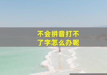 不会拼音打不了字怎么办呢