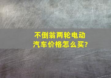 不倒翁两轮电动汽车价格怎么买?