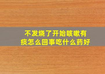 不发烧了开始咳嗽有痰怎么回事吃什么药好