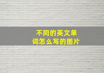 不同的英文单词怎么写的图片