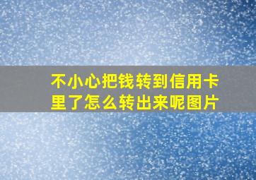 不小心把钱转到信用卡里了怎么转出来呢图片