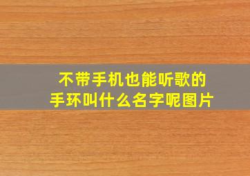 不带手机也能听歌的手环叫什么名字呢图片