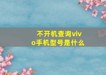 不开机查询vivo手机型号是什么