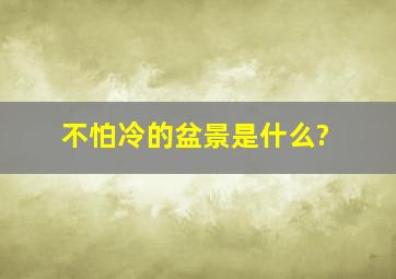 不怕冷的盆景是什么?