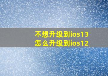 不想升级到ios13怎么升级到ios12