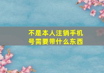 不是本人注销手机号需要带什么东西