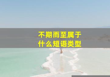 不期而至属于什么短语类型