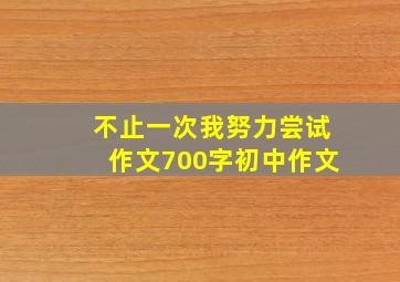 不止一次我努力尝试作文700字初中作文