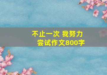 不止一次 我努力尝试作文800字