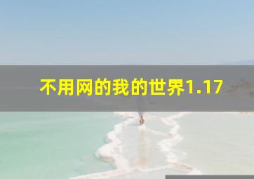 不用网的我的世界1.17