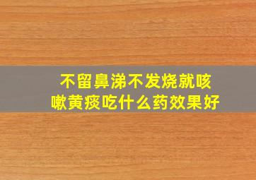 不留鼻涕不发烧就咳嗽黄痰吃什么药效果好