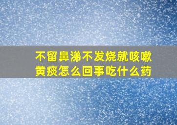 不留鼻涕不发烧就咳嗽黄痰怎么回事吃什么药