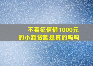 不看征信借1000元的小额贷款是真的吗吗