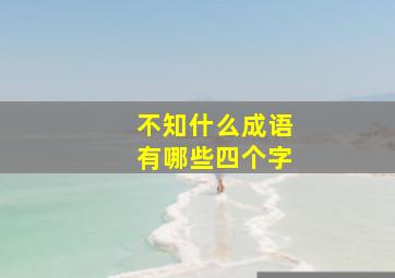 不知什么成语有哪些四个字