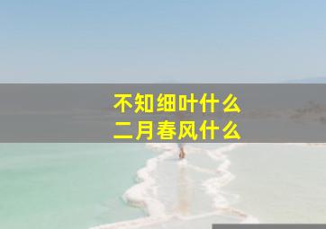 不知细叶什么二月春风什么