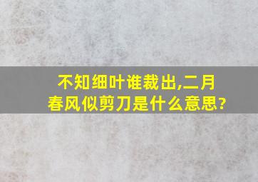 不知细叶谁裁出,二月春风似剪刀是什么意思?